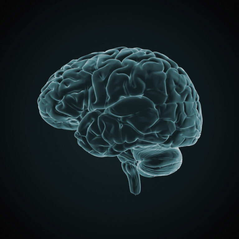 Is Your Brain the Fountain of Youth?